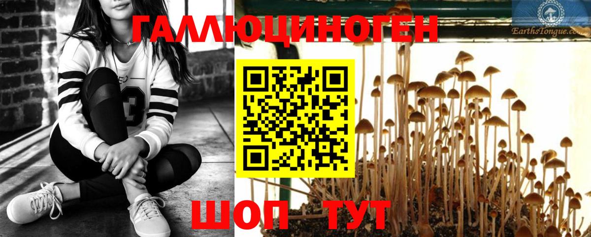 Псилоцибиновые грибы прущие грибы Тобольск