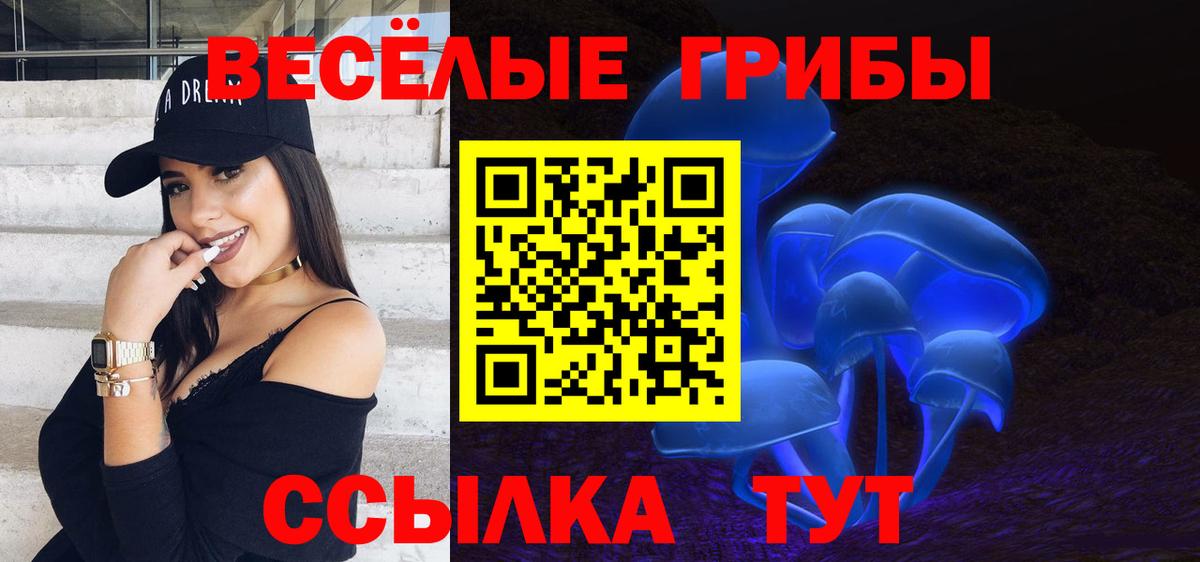 Псилоцибиновые грибы GOLDEN TEACHER  Вход с VPN  Псилоцибиновые грибы мухоморы  Тобольск 